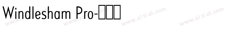 Windlesham Pro字体转换